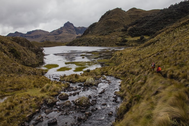 Hiking in Cajas National Park: Which Treks Are the Best?