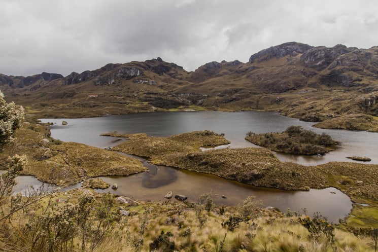 Hiking in Cajas National Park: Which Treks Are the Best? 22