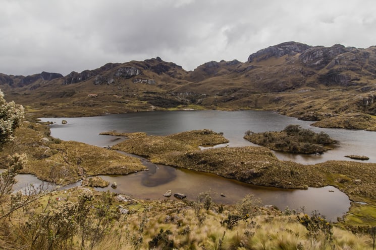 Hiking in Cajas National Park: Which Treks Are the Best?