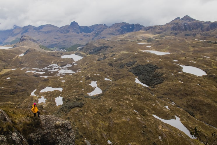 Hiking in Cajas National Park: Which Treks Are the Best? 3