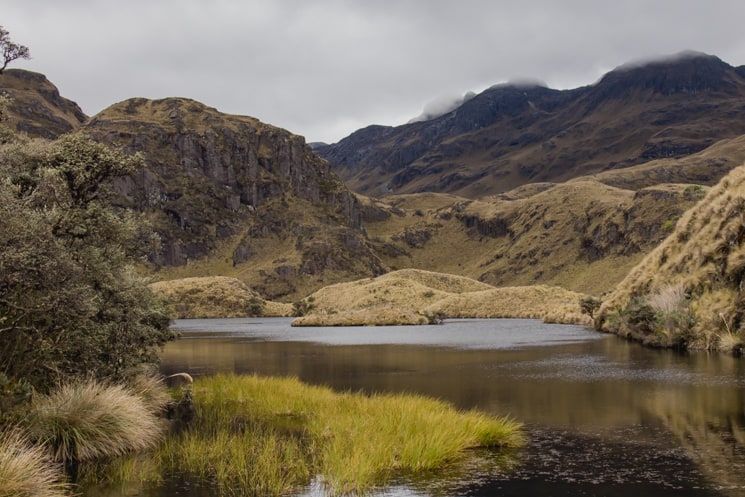 Hiking in Cajas National Park: Which Treks Are the Best?