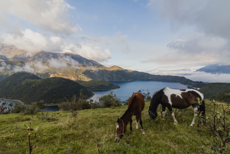 Laguna Cuicocha Hike: What do You Need to Know Before?