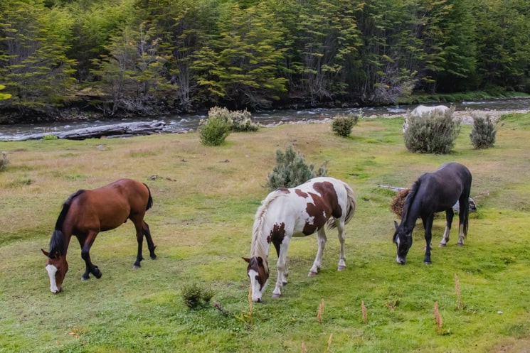 Tierra del Fuego National Park - Best hikes and Things to Do