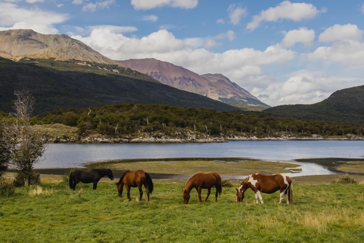 Tierra del Fuego National Park - Best hikes and Things to Do 1