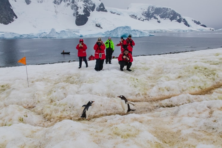 Antarktida – cestopis z dobrodružné plavby na sedmý kontinent 5