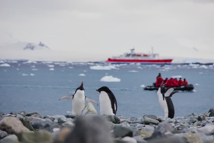 Antarktida – cestopis z dobrodružné plavby na sedmý kontinent 6