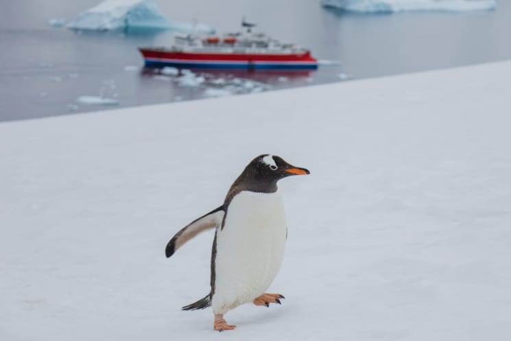 Antarktida – cestopis z dobrodružné plavby na sedmý kontinent 1