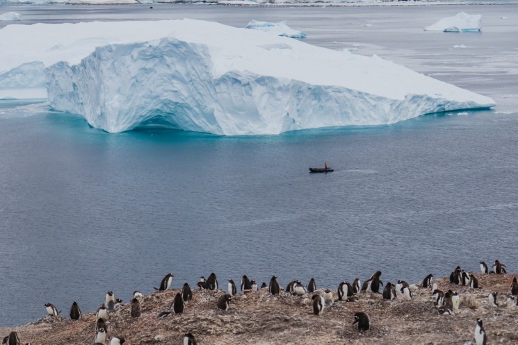 Plavba na Antarktidu od A do Z – vše, co potřebujete vědět 8