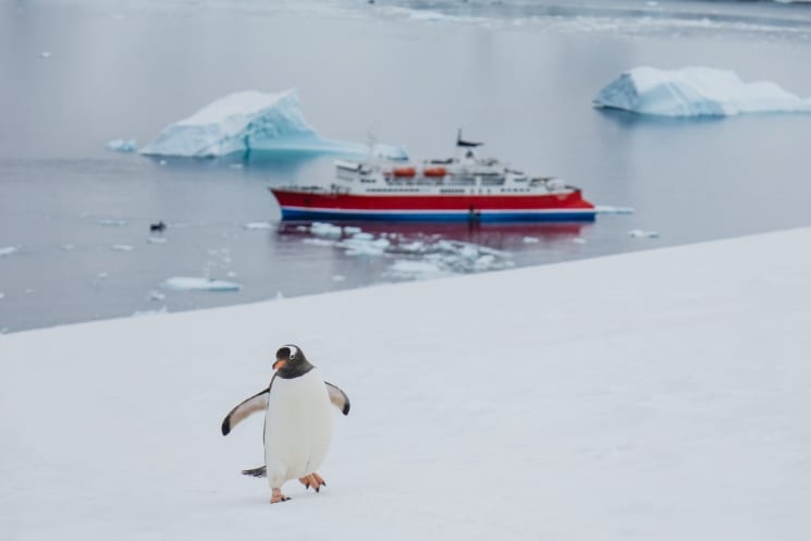 Plavba na Antarktidu od A do Z – vše, co potřebujete vědět 2