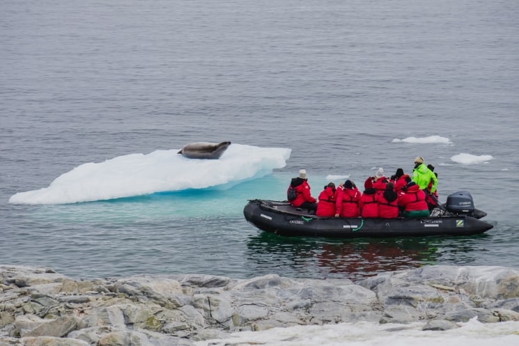Plavba na Antarktidu od A do Z – vše, co potřebujete vědět 10
