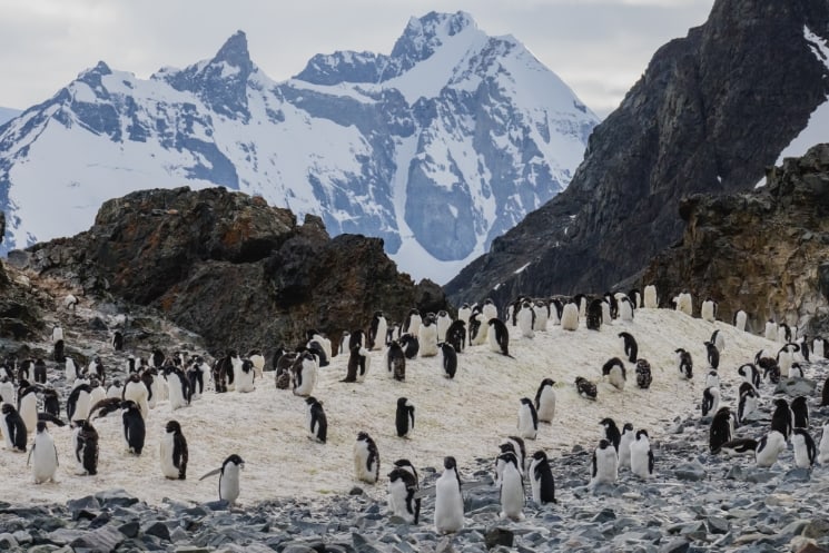 Plavba na Antarktidu od A do Z – vše, co potřebujete vědět 1