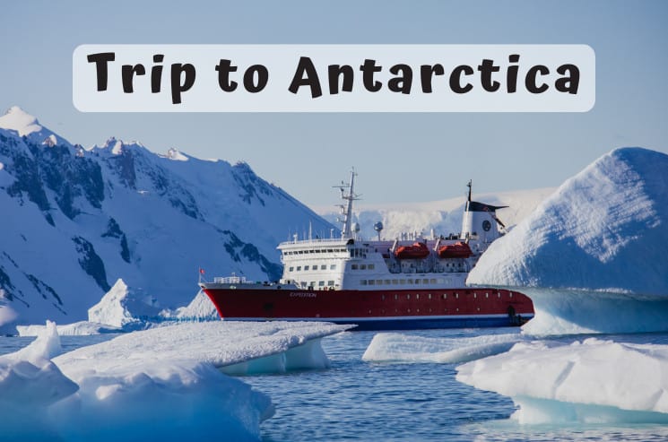 Trip to Antarctica Guide: What to Expect? How to Choose?