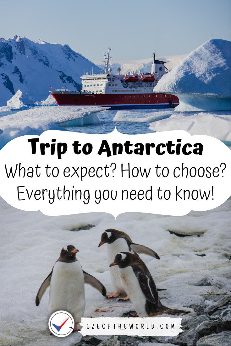 Trip to Antarctica Guide: What to Expect? How to Choose?