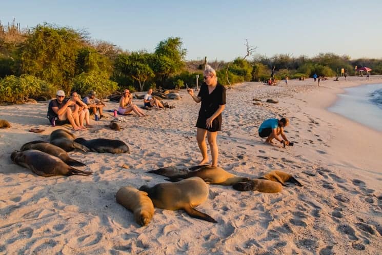 Galapagos from A to Z: Ultimate Guide to Wildlife Wonderland 30