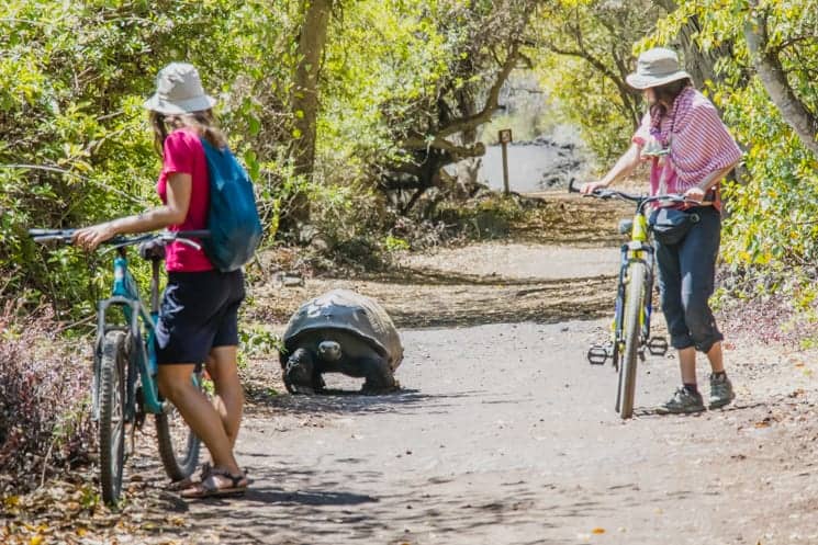 Galapagos from A to Z: Ultimate Guide to Wildlife Wonderland