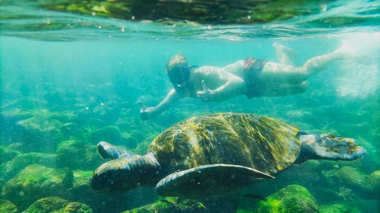 Galapagos from A to Z: Ultimate Guide to Wildlife Wonderland