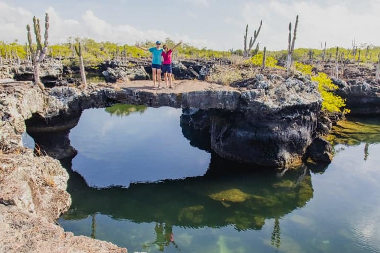 Galapagos from A to Z: Ultimate Guide to Wildlife Wonderland 3
