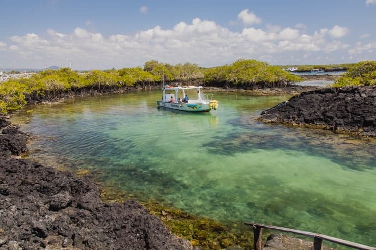 Galapagos from A to Z: Ultimate Guide to Wildlife Wonderland