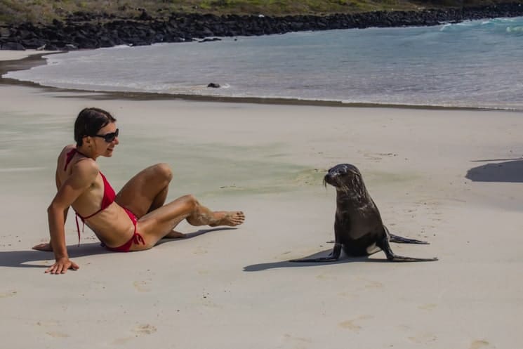 Galapagos from A to Z: Ultimate Guide to Wildlife Wonderland 33
