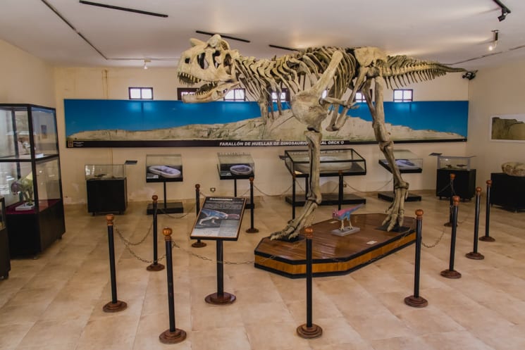 Guide to Visiting Dinopark Cretácico de Cal Orck'o (2023) 4