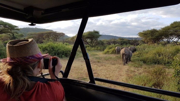 3 Best Tanzania Safari Packages to Travel in 2024 3