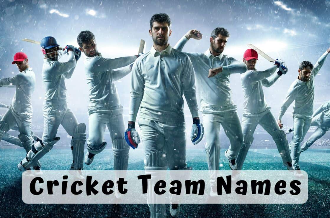 379 Best Cricket Team Names (That Will Boost Your Success)