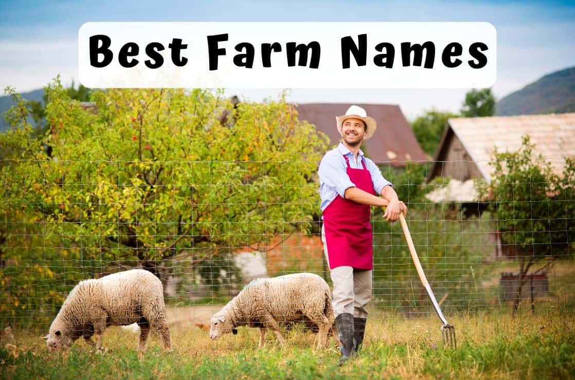 Best Farm Names